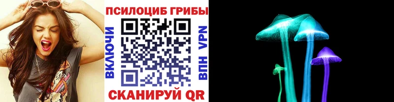 Псилоцибиновые грибы Cubensis  Северская 